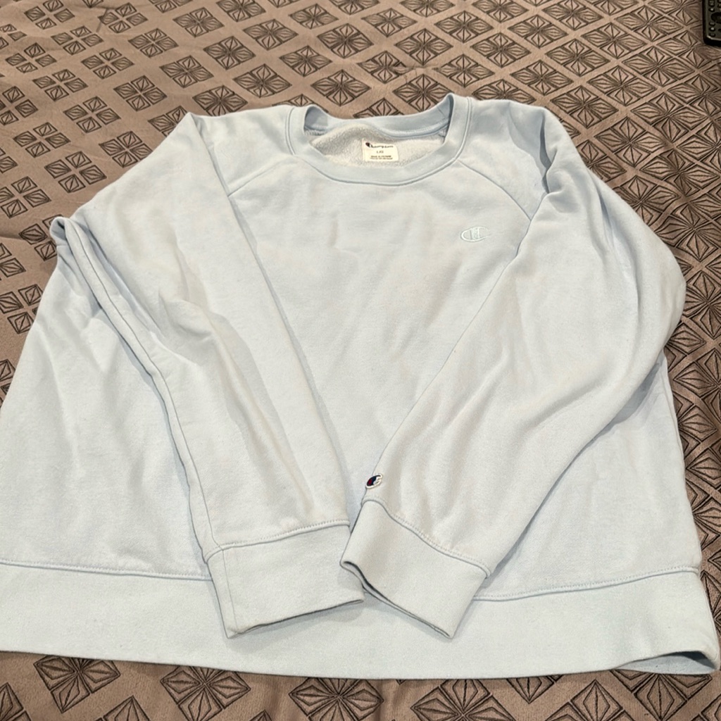 Very Clean Champion Sweater Very Clean Champion Sweater
